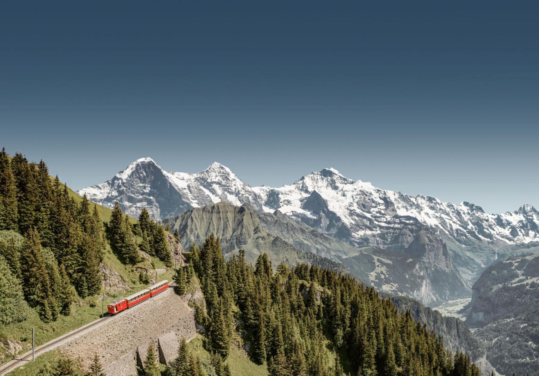 Parkhotel Schoenegg Grindelwald Exterior foto