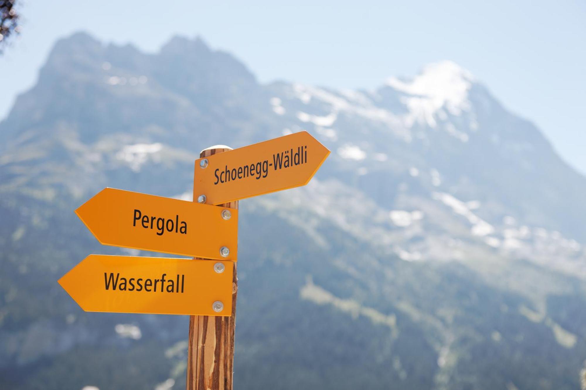Parkhotel Schoenegg Grindelwald Exterior foto